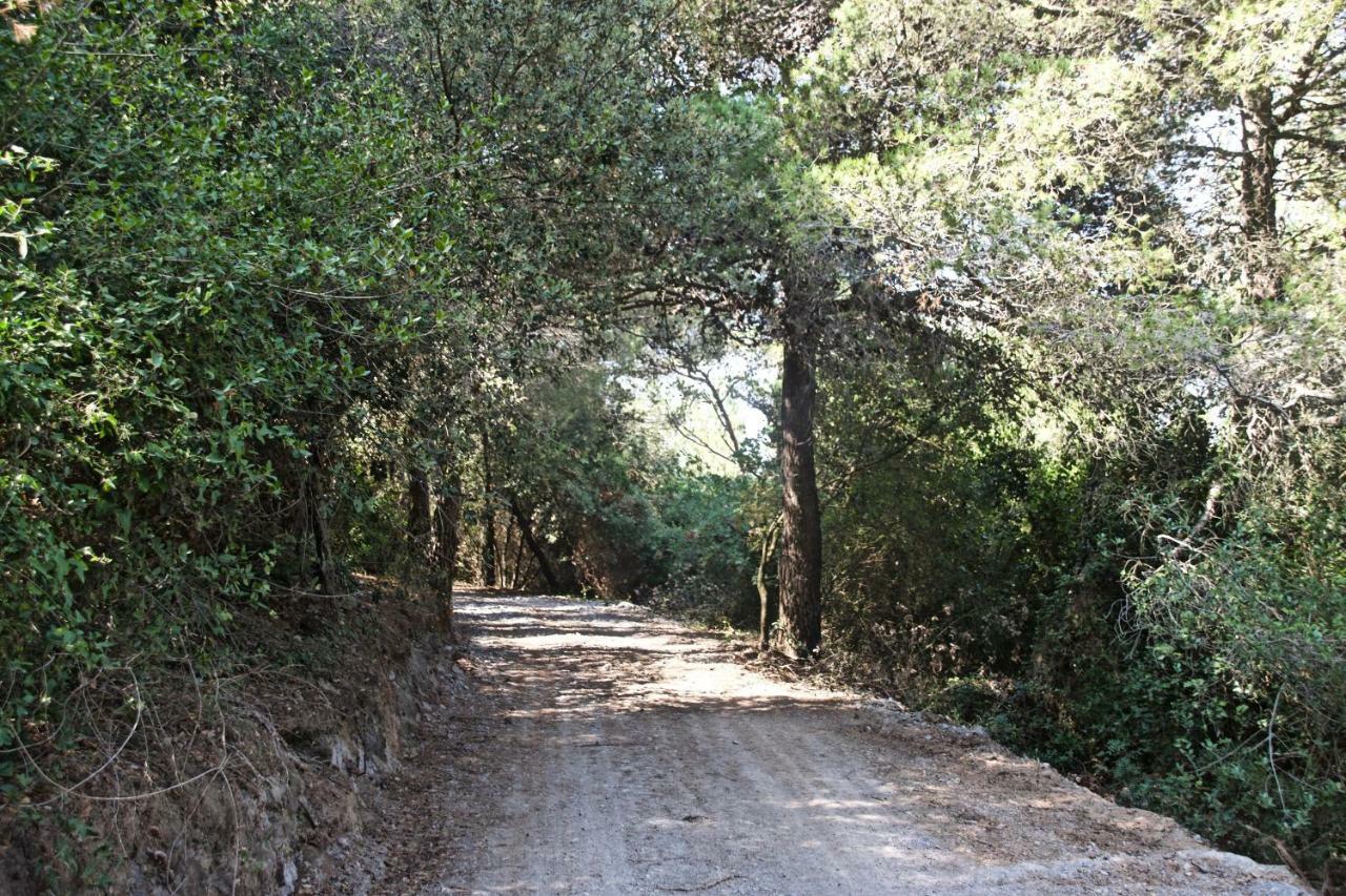 Casa vacanze A lea l'ua Finale Ligure Esterno foto