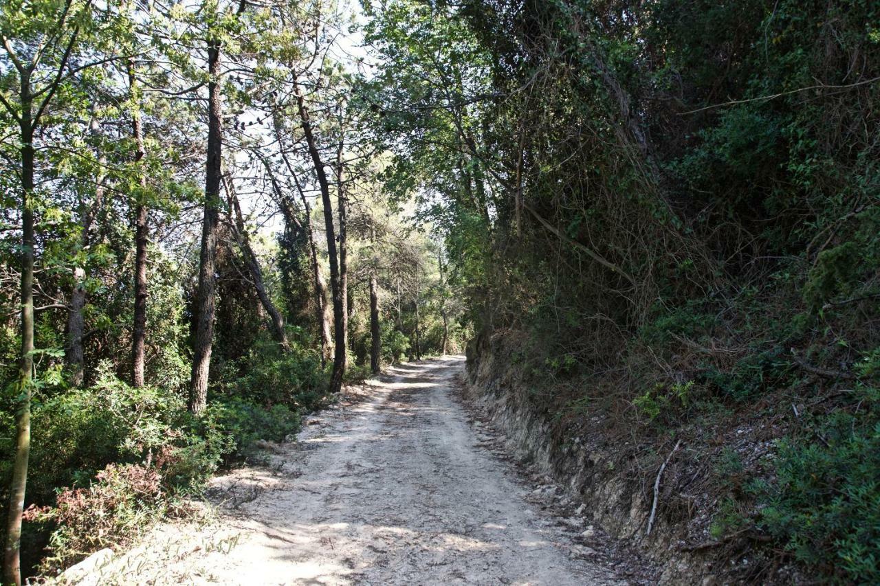 Casa vacanze A lea l'ua Finale Ligure Esterno foto